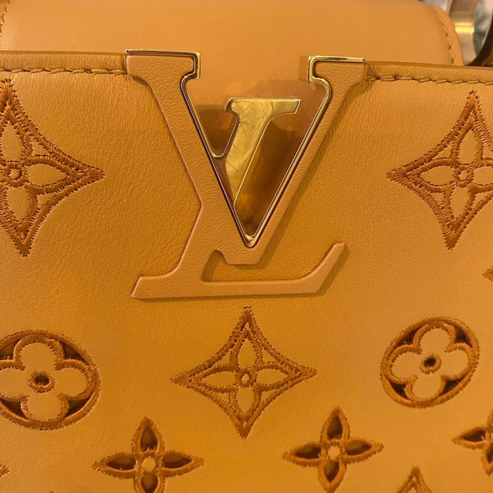 Louis Vuitton limited edition Capuchin Mini Tan Handbag. Microchipped - Picture 3 of 9